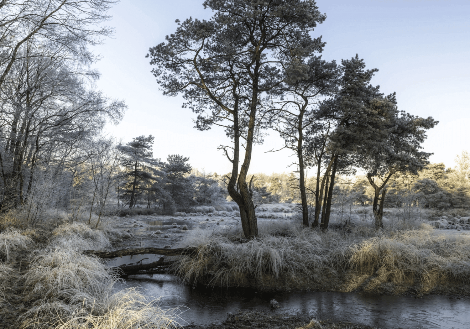 Frisse neus halen – juist in de winter!