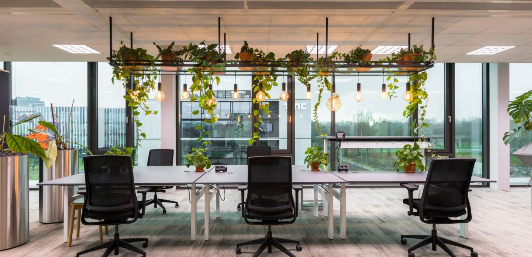 Vitaliteit op werk: investeren in gezonde en energieke medewerkers