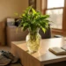 Groene plant met zichtbare wortels in glazen vaas op modern bureau, naast hardloopschoenen en wellness-dagboek in warm ochtendlicht.
