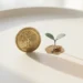 Gouden munt rechtopstaand naast een klein groen plantje op wit oppervlak, minimalistische compositie over financiële groei.