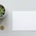 Kleine groene potplant naast een wit envelop en gouden munt op lichtgrijs bureau, minimalistische flatlay met zachte natuurlijke belichting.