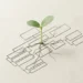 Groene zaailing die opgroeit uit een organigram gegraveerd in beton, met wortels die door gestructureerde paden lopen, bovenaanzicht.