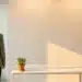 Jonge professional bij zonnig kantoorvenster met groene plant op wit bureau, warm ochtendlicht en minimalistische sfeer.