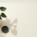 Weelderige groene plant in witte keramieken pot op een licht bureau, gefotografeerd van bovenaf in zacht natuurlijk licht.